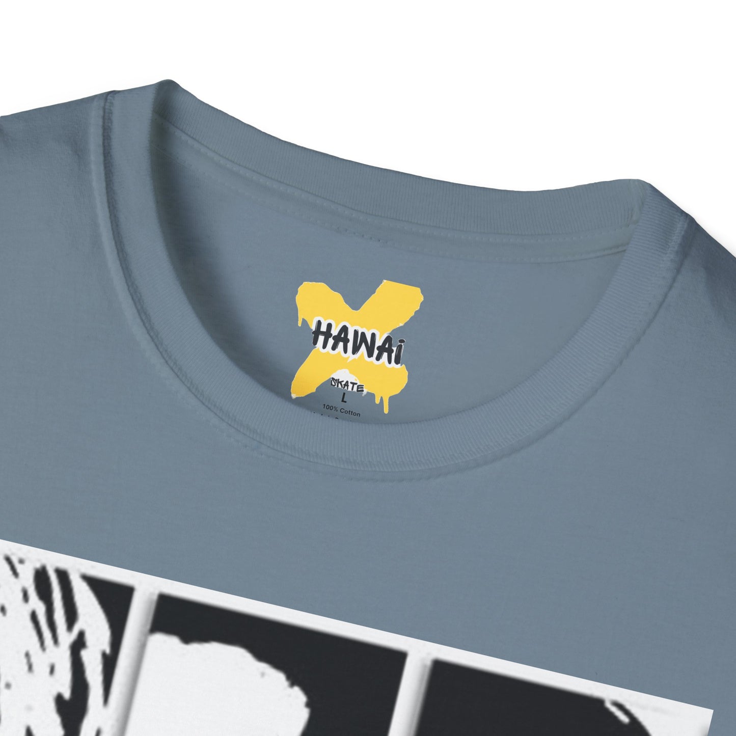 Trendy Band Graphic T-Shirt, Unisex Softstyle Tee, Casual Everyday Wear, Music Lover Gift, Rock Band Style