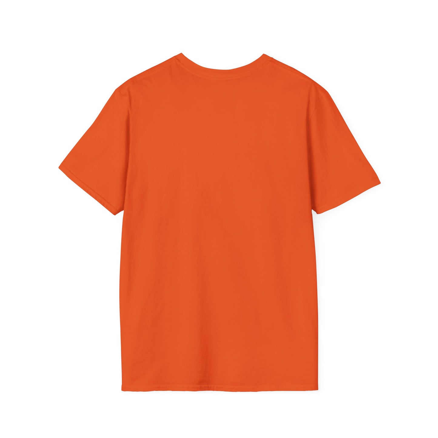 Adventure Awaiting Unisex Softstyle T-Shirt | Travel Vibes, Casual Wear, Gift for Travelers, Summer Wardrobe, Vintage Style