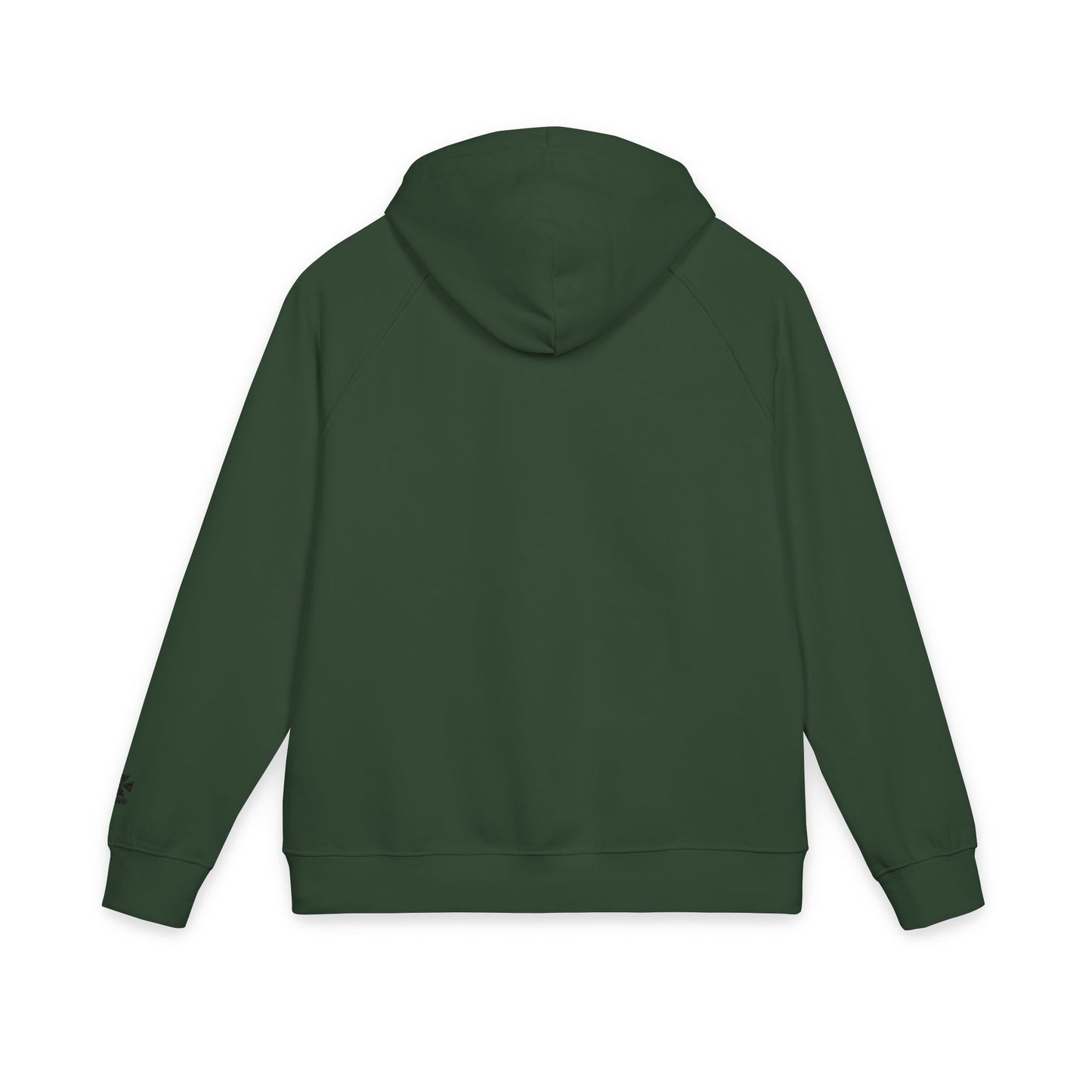Unisex Eco-Friendly Raglan Hoodie, Sustainable Fashion, Embroidered Hoodie Gifts, Casual Wear, Earth Day Apparel, Gift for Him/Her