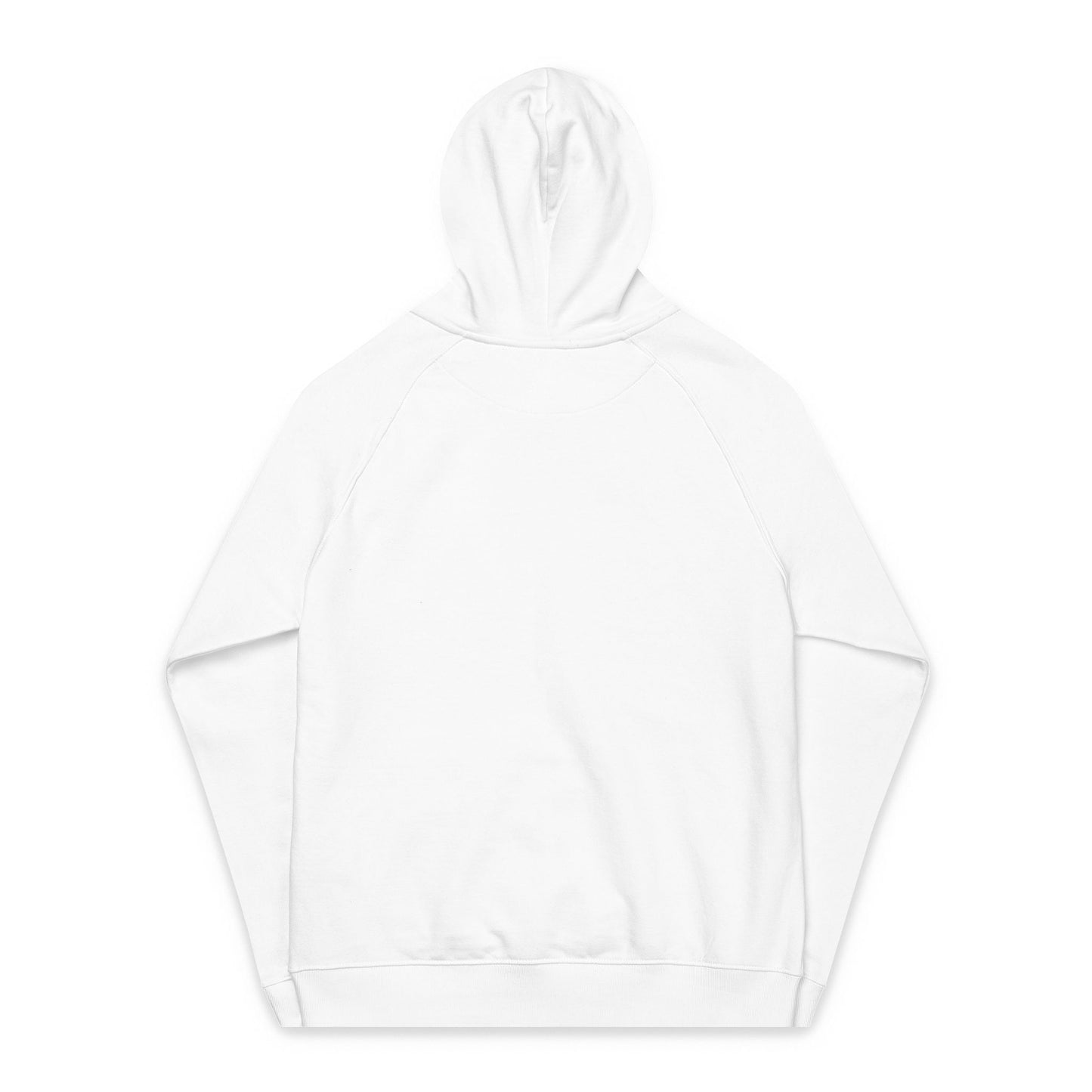 Unisex Eco-Friendly Raglan Hoodie, Sustainable Fashion, Embroidered Hoodie Gifts, Casual Wear, Earth Day Apparel, Gift for Him/Her